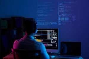 Despesas com Software